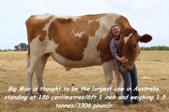 daily picdump weekend edition 67 pics 25.html - 67 HD Photos | Premium Gallery 2018