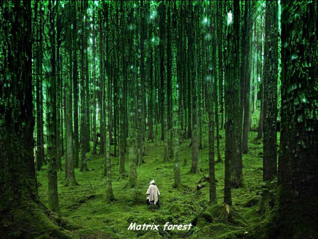 daily picdump weekend edition 67 pics 25.html - 67 HD Photos | Premium Gallery 2018