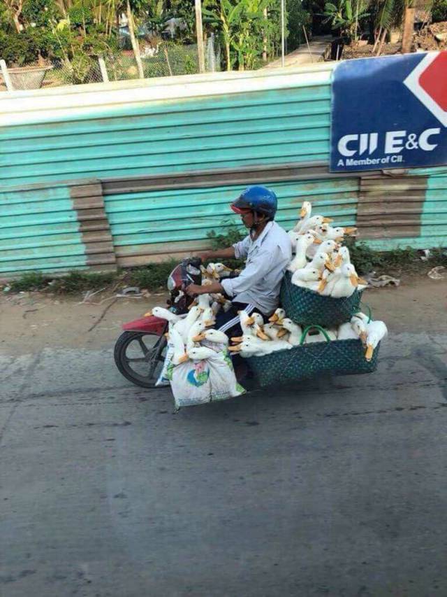 daily picdump weekend edition 67 pics 25.html - 67 HD Photos | Premium Gallery 2018