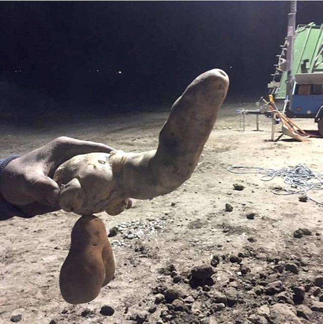 daily picdump weekend edition 67 pics 25.html - 67 HD Photos | Premium Gallery 2018