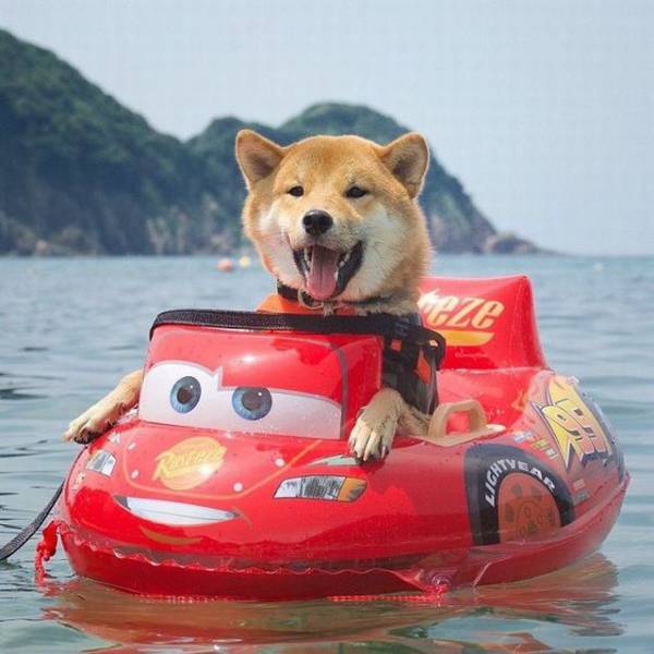 daily picdump 101 pics 7.html - 101 HD Photos | Premium Gallery 2018