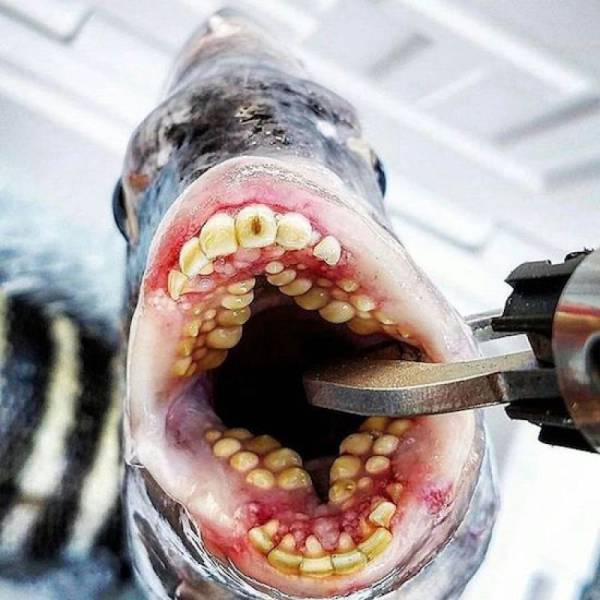 daily picdump 101 pics 7.html - 101 HD Photos | Premium Gallery 2018