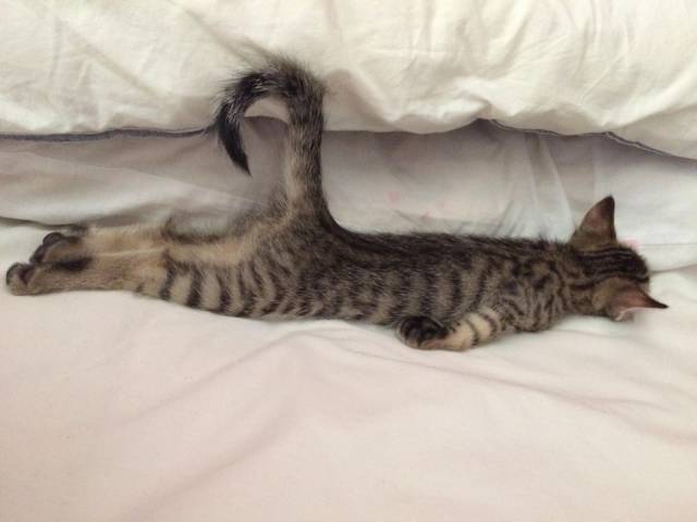 daily picdump 101 pics 7.html - 101 HD Photos | Premium Gallery 2018