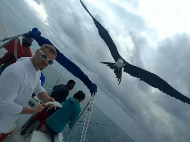 daily picdump 101 pics 7.html - 101 HD Photos | Premium Gallery 2018