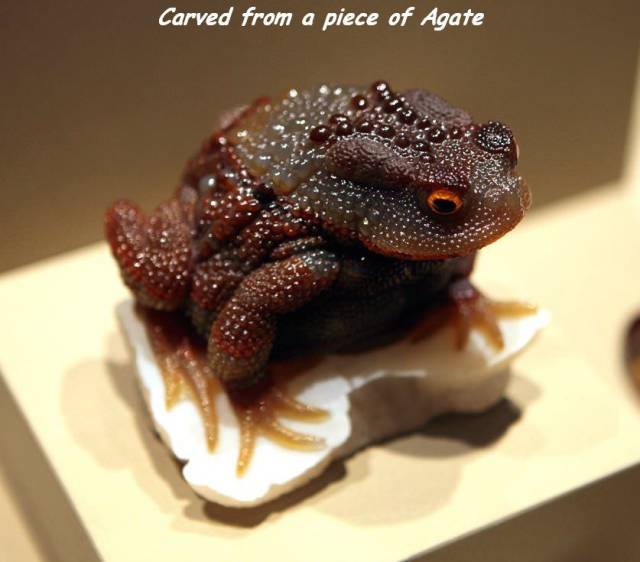 daily picdump 101 pics 7.html - 101 HD Photos | Premium Gallery 2018