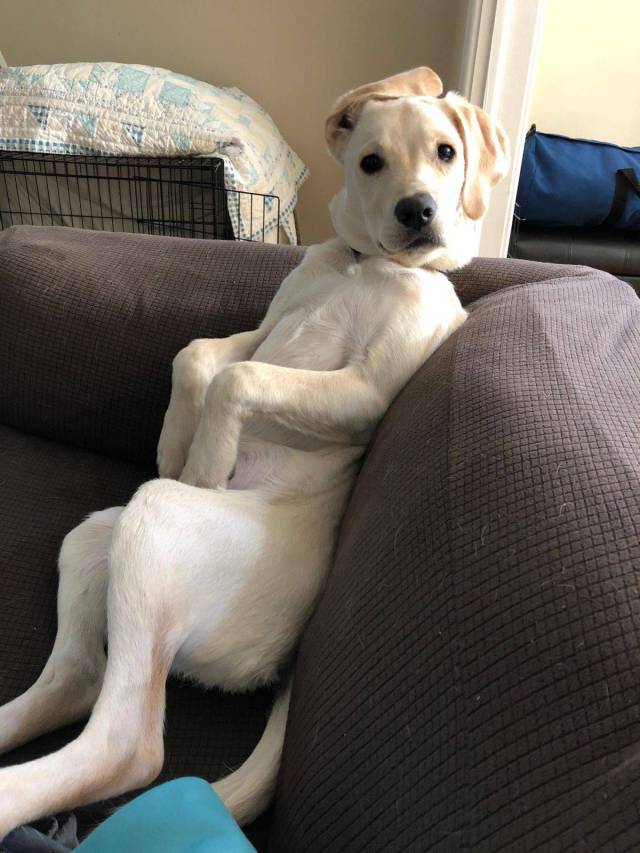 daily picdump 101 pics 7.html - 101 HD Photos | Premium Gallery 2018