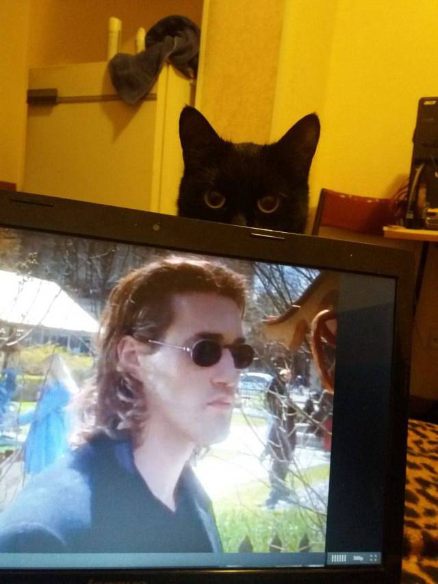 daily picdump 101 pics 7.html - 101 HD Photos | Premium Gallery 2018