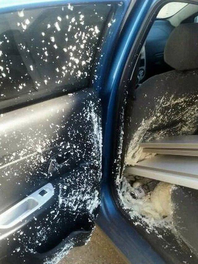 daily picdump 101 pics 7.html - 101 HD Photos | Premium Gallery 2018