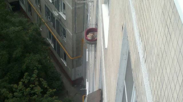 daily picdump 98 pics 8.html - 98 HD Photos | Premium Gallery 2018