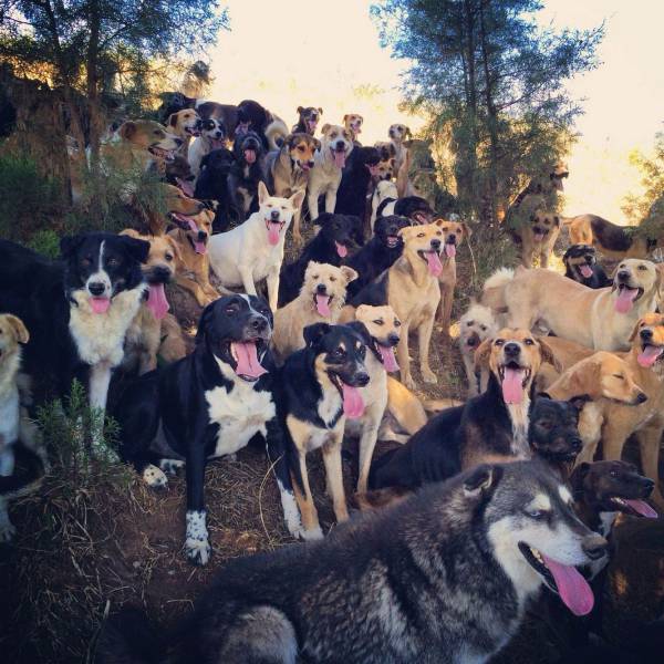 daily picdump 98 pics 8.html - 98 HD Photos | Premium Gallery 2018