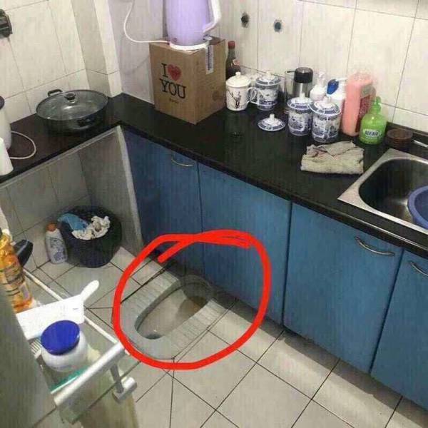 daily picdump 98 pics 8.html - 98 HD Photos | Premium Gallery 2018