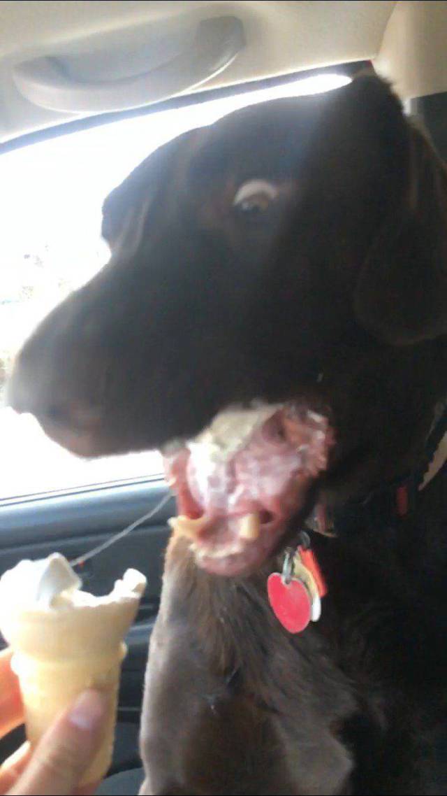 daily picdump 98 pics 8.html - 98 HD Photos | Premium Gallery 2018