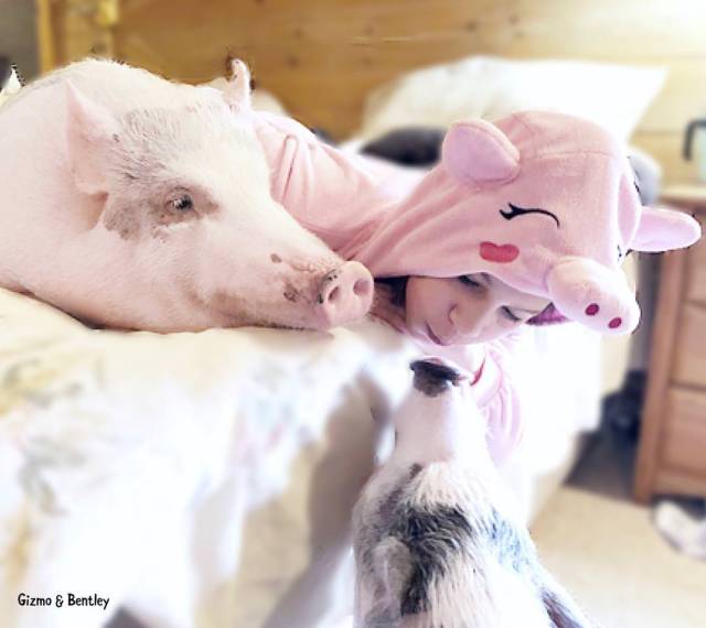 morning picdump 50 pics 24.html - 50 HD Photos | Premium Gallery 2018