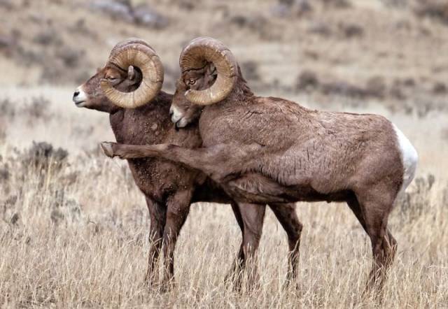 morning picdump 52 pics 9.html - 52 HD Photos | Premium Gallery 2018
