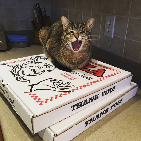 daily picdump 99 pics 36.html - 99 HD Photos | Premium Gallery 2018