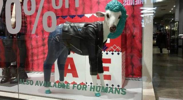 daily picdump 99 pics 36.html - 99 HD Photos | Premium Gallery 2018