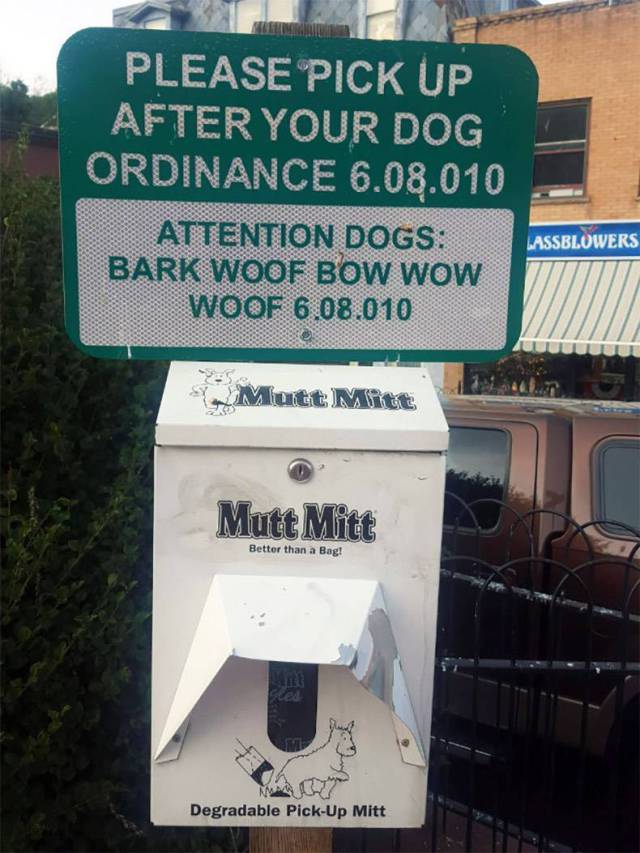 daily picdump 99 pics 36.html - 99 HD Photos | Premium Gallery 2018