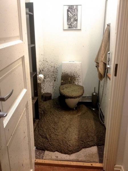 Morning Picdump