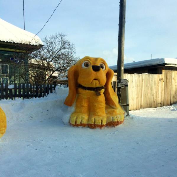 Morning Picdump