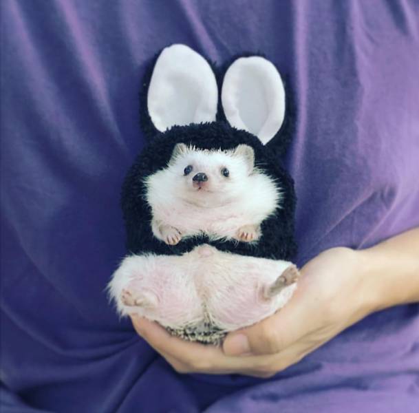 Morning Picdump