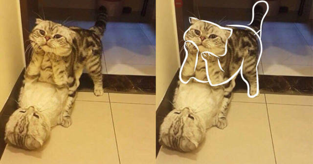 Morning Picdump
