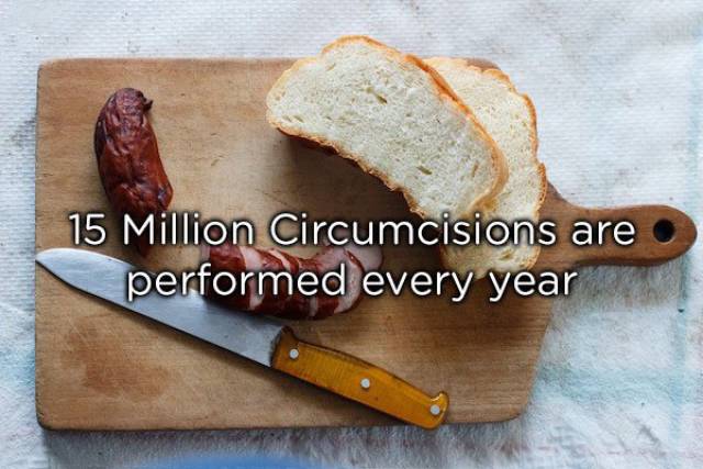 NSFW Facts You Should Probably Read Alone