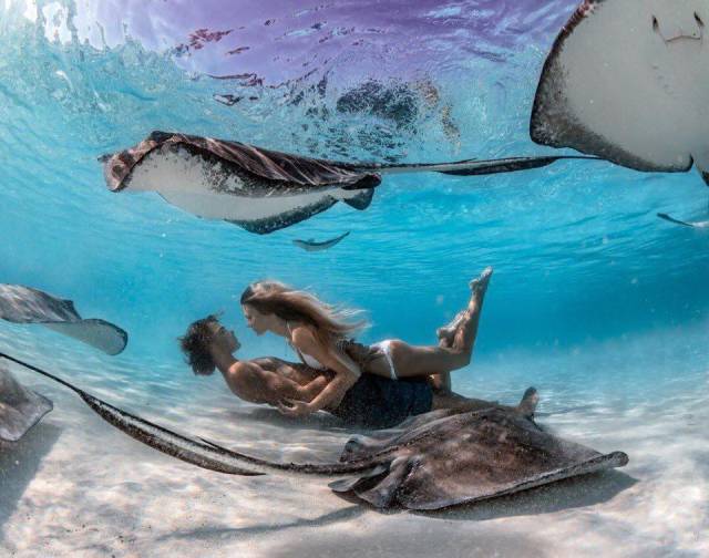 daily picdump 99 pics 19.html - 99 HD Photos | Premium Gallery 2018