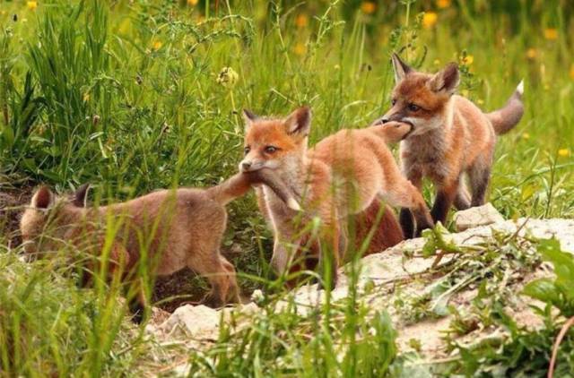 daily picdump 96 pics 38.html - 96 HD Photos | Premium Gallery 2018