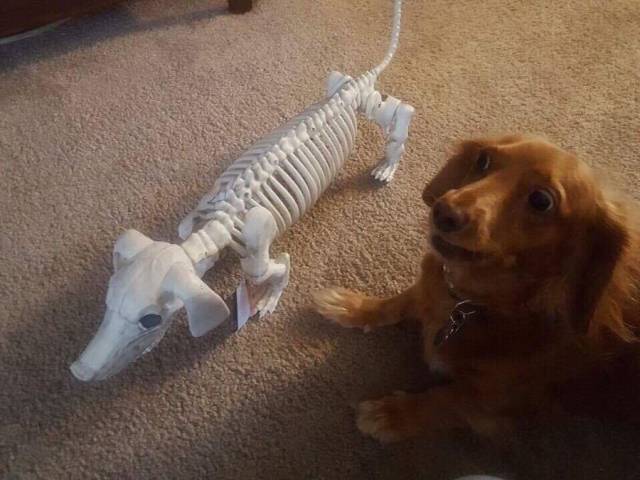 daily picdump 96 pics 38.html - 96 HD Photos | Premium Gallery 2018