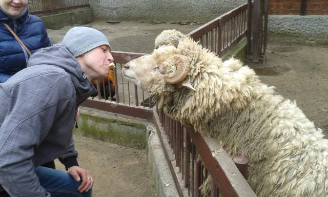 daily picdump 96 pics 38.html - 96 HD Photos | Premium Gallery 2018