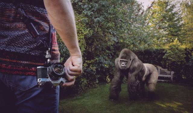 daily picdump 96 pics 38.html - 96 HD Photos | Premium Gallery 2018