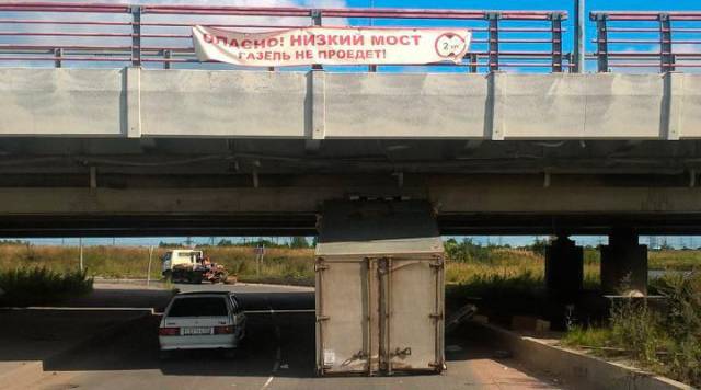 daily picdump 96 pics 38.html - 96 HD Photos | Premium Gallery 2018