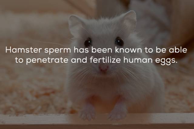 Some Very Naughty Facts About Sex