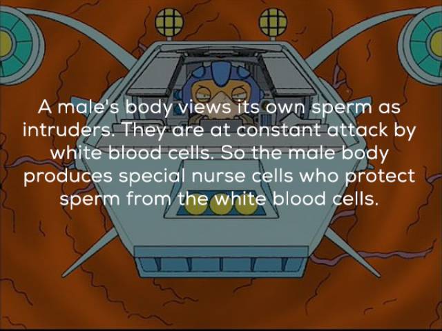 Some Very Naughty Facts About Sex