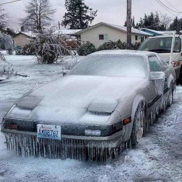 Daily Picdump