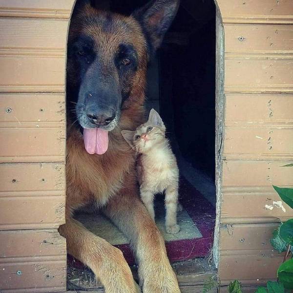 daily picdump 101 pics 32.html - 101 HD Photos | Premium Gallery 2018