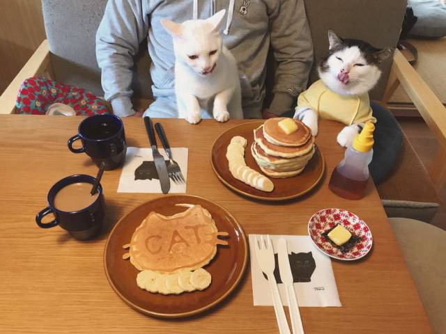 Daily Picdump