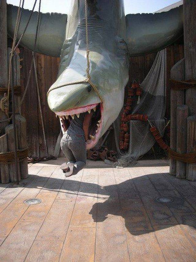 Daily Picdump