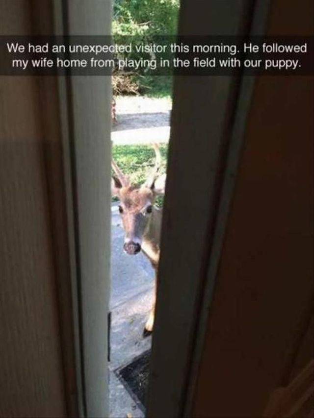 daily picdump 101 pics 32.html - 101 HD Photos | Premium Gallery 2018
