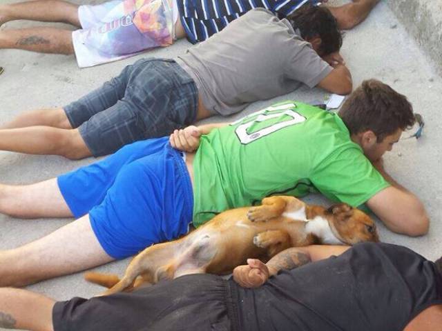 morning picdump 51 pics 10.html - 51 HD Photos | Premium Gallery 2018