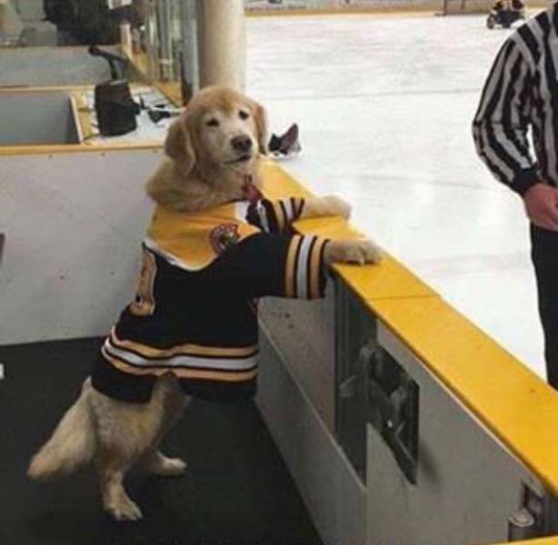 morning picdump 51 pics 10.html - 51 HD Photos | Premium Gallery 2018