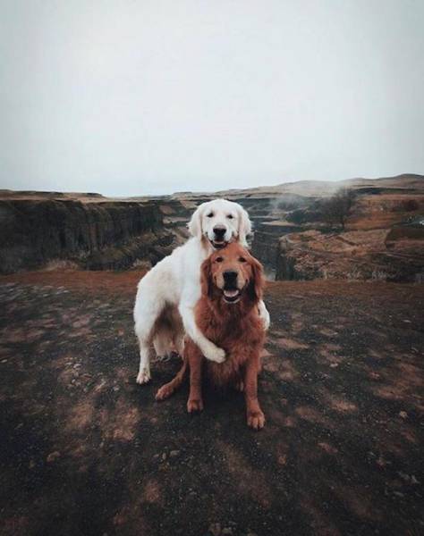 morning picdump 51 pics 10.html - 51 HD Photos | Premium Gallery 2018