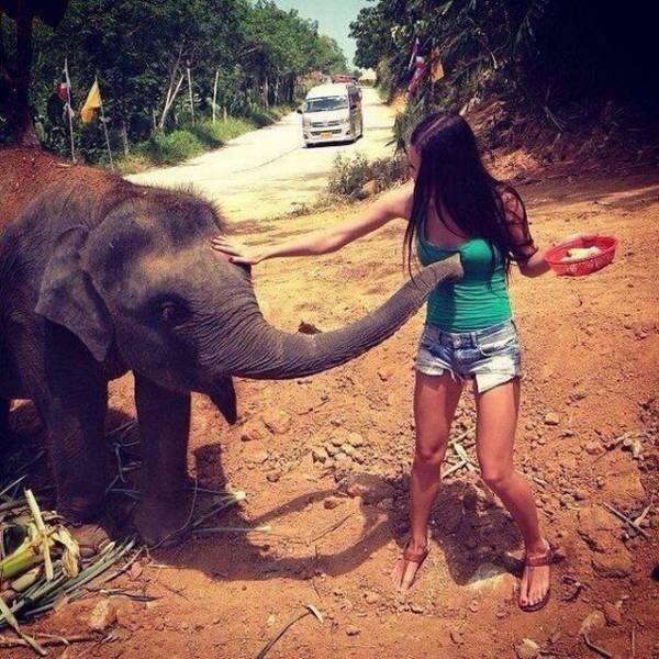 Daily Picdump