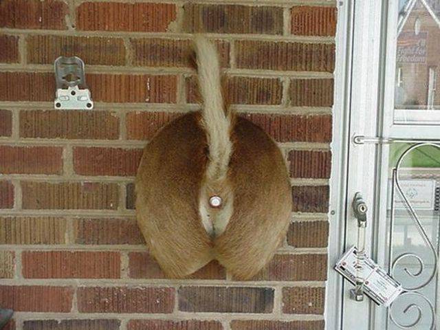 Dirty Mind, Come Here!