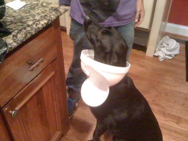 morning picdump 52 pics 2.html - 52 HD Photos | Premium Gallery 2018