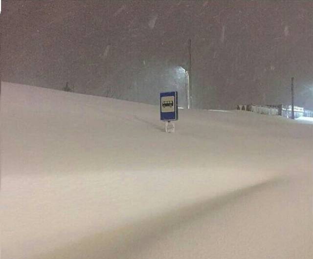 morning picdump 52 pics 2.html - 52 HD Photos | Premium Gallery 2018