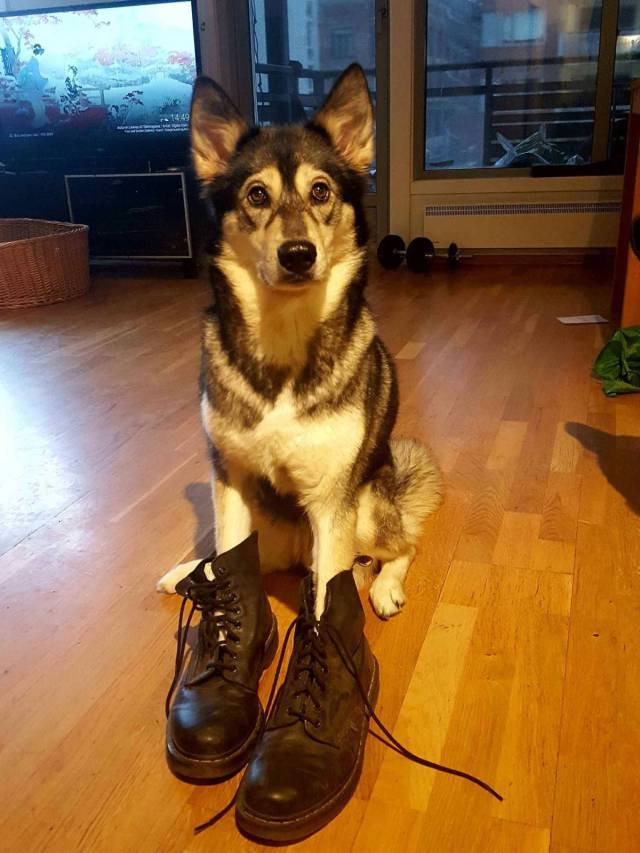 Daily Picdump