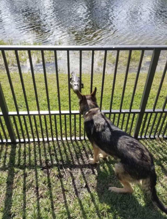 daily picdump 93 pics 42.html - 93 HD Photos | Premium Gallery 2018