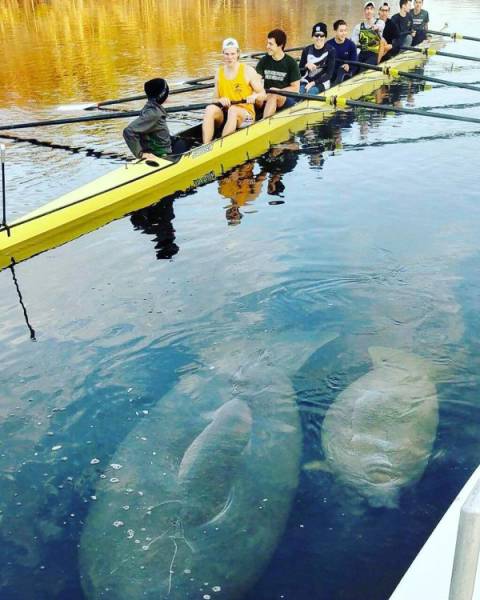 morning picdump 50 pics 12.html - 50 HD Photos | Premium Gallery 2018