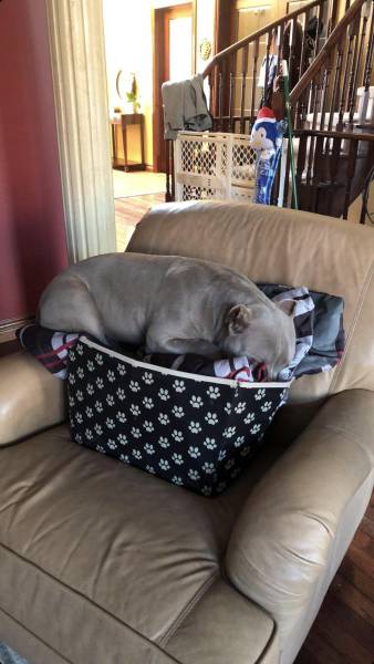 morning picdump 50 pics 12.html - 50 HD Photos | Premium Gallery 2018